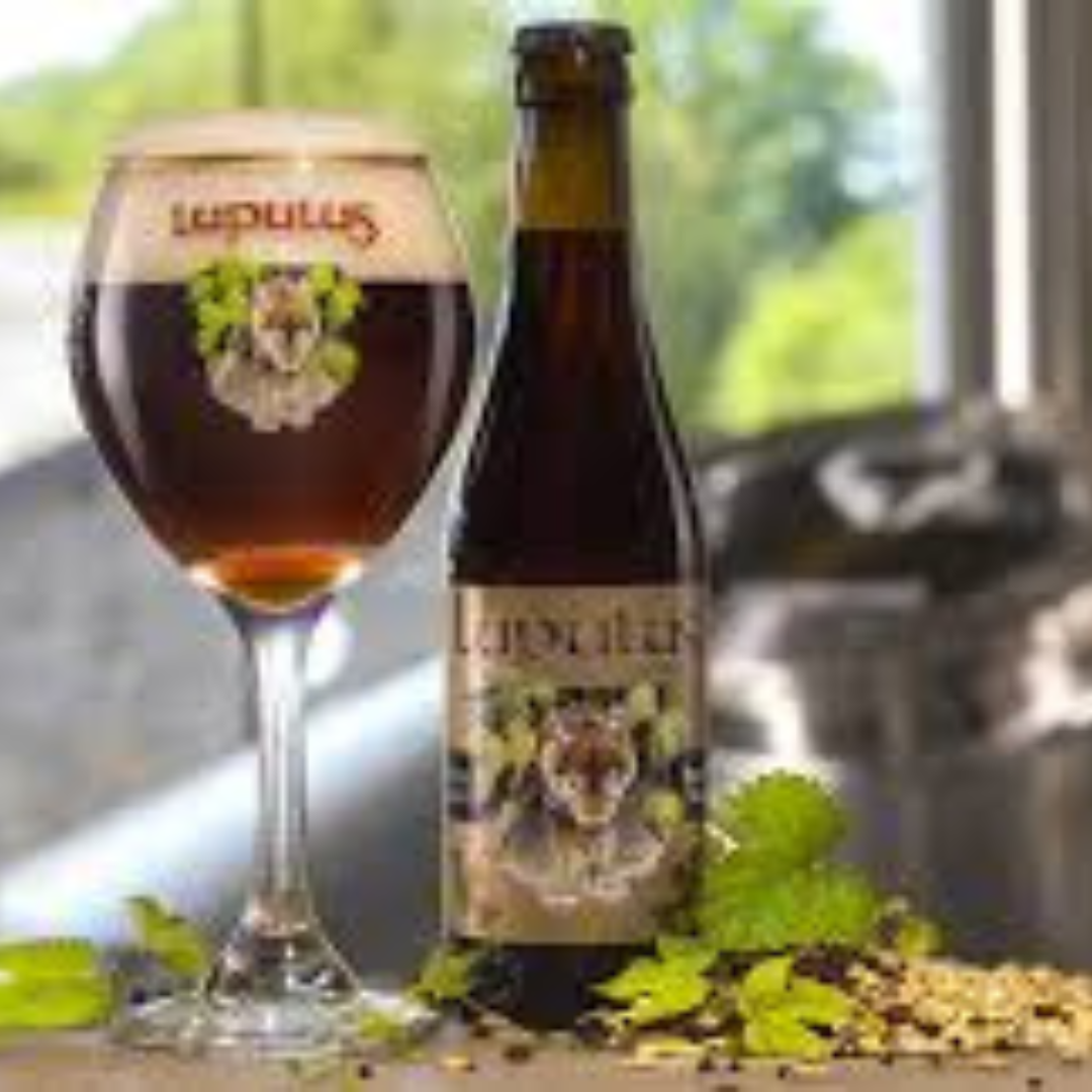 Lupulus Brune