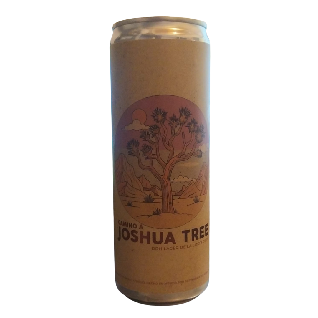 Camino A Joshua Tree