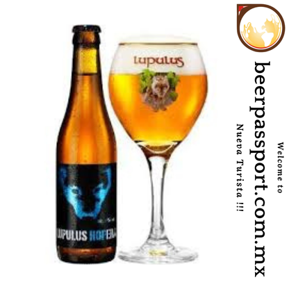 Lupulus Hopera